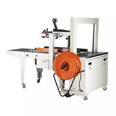 AUTOMATIC SMALL CARTOON SEALER