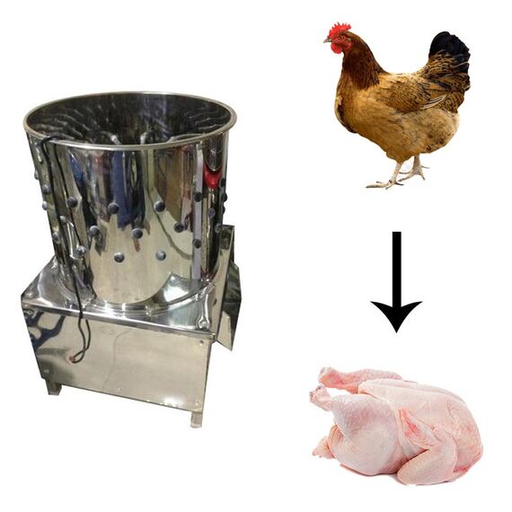CHICKEN FEATHER CLEANING MACHINE 1.5 HP 10 BIRDS