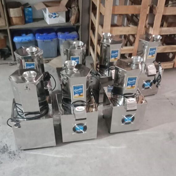 AUTOMATIC SS GARLIC PEELER MACHINE, 1 HP