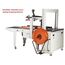 AUTOMATIC CARTON SEALING AND STRAPPING MACHINE, ONLINE