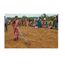 AGROVISION DRY LAND WEEDER