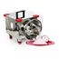 BIG SIZE COCONUT SCRAPER MACHINE WITH 0.25HP MOTOR