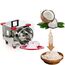 BIG SIZE COCONUT SCRAPER MACHINE WITH 0.25HP MOTOR