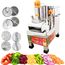 1HP REGULAR VEGETABLE CUTTING MACHINE 150-200KG/HR