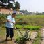 TWO ROW MANUAL RICE TRANSPLANTER
