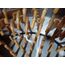 CHICKEN DE-FEATHERING MACHINE 1.5 HP MOTOR 10 BIRDS