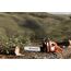 HUSQVARNA 61 CHAINSAW MACHINE 20 INCH